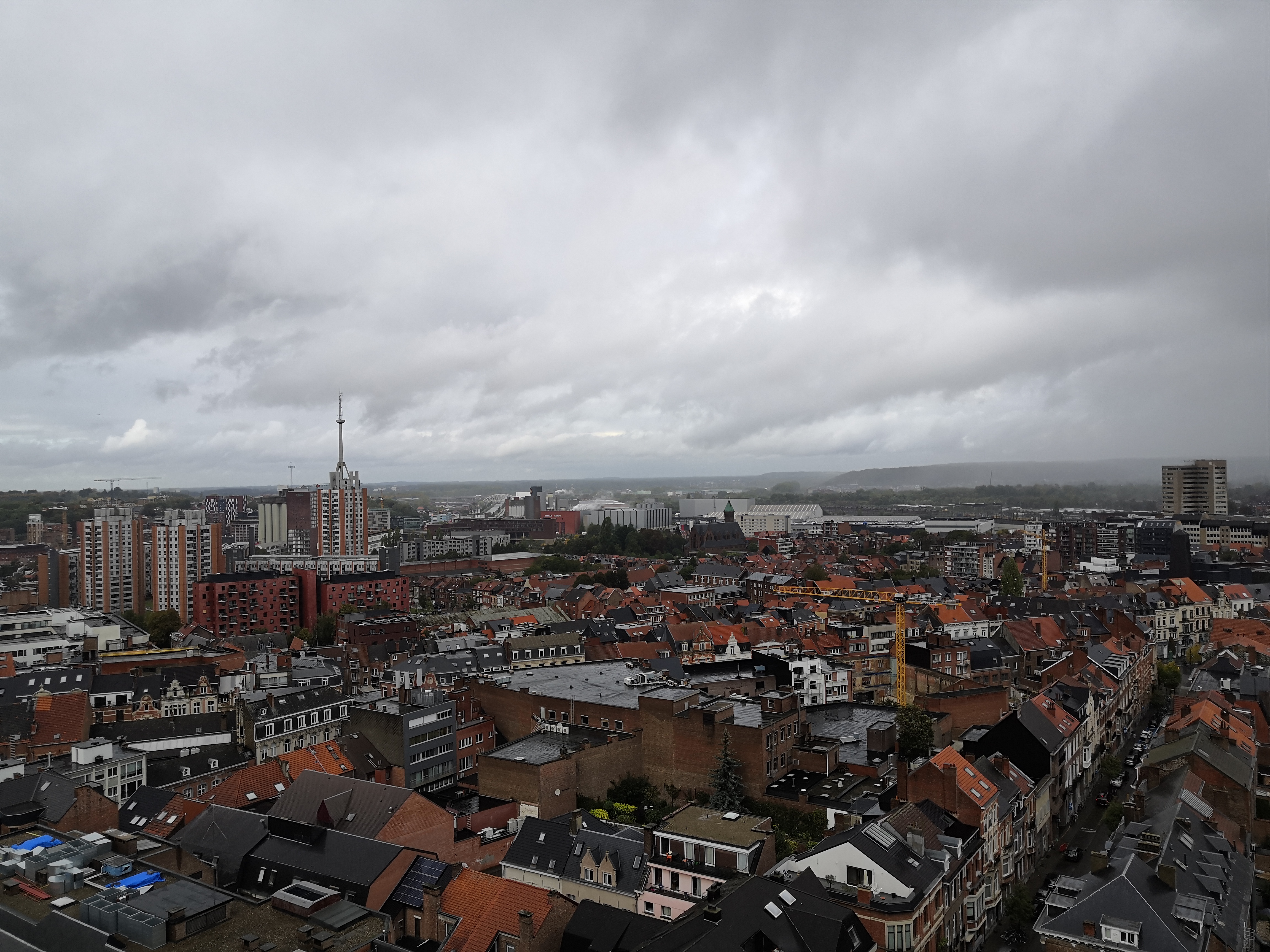 Look down from library belfry