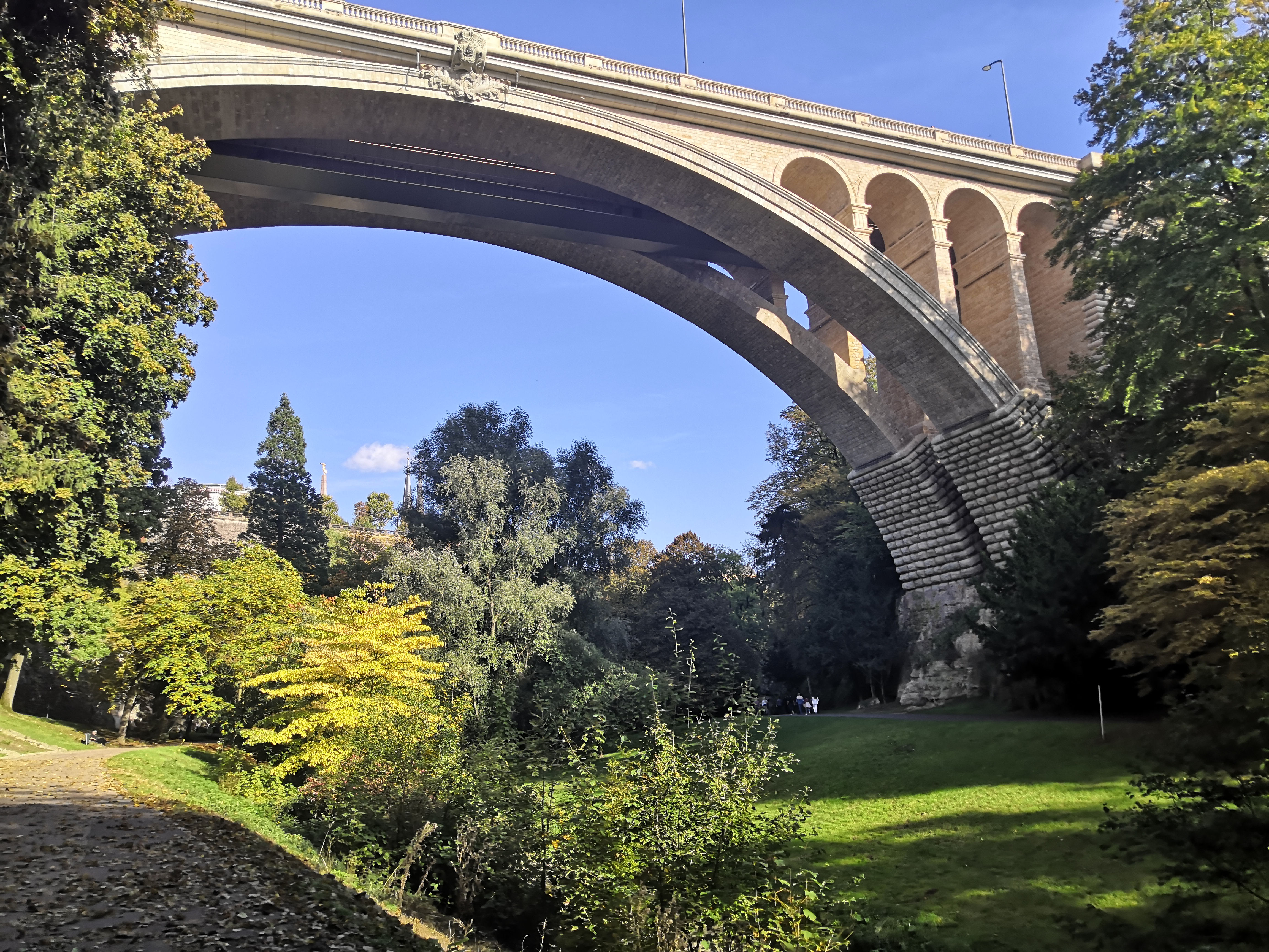 Forest park under bridge